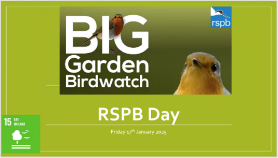 The Big Garden Birdwatch